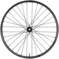 Enduro 315c Front Wheel - 29", 15 x 110mm Boost, 6-Bolt, Black, 32H, Black